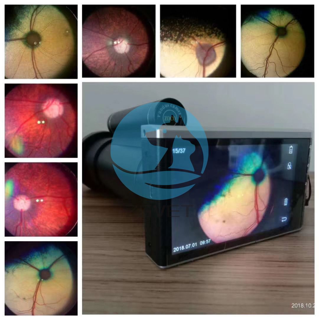 Câmera Animal Fundus(图1)